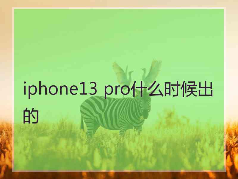 iphone13 pro什么时候出的