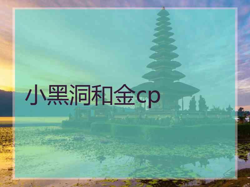 小黑洞和金cp