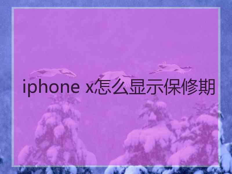 iphone x怎么显示保修期