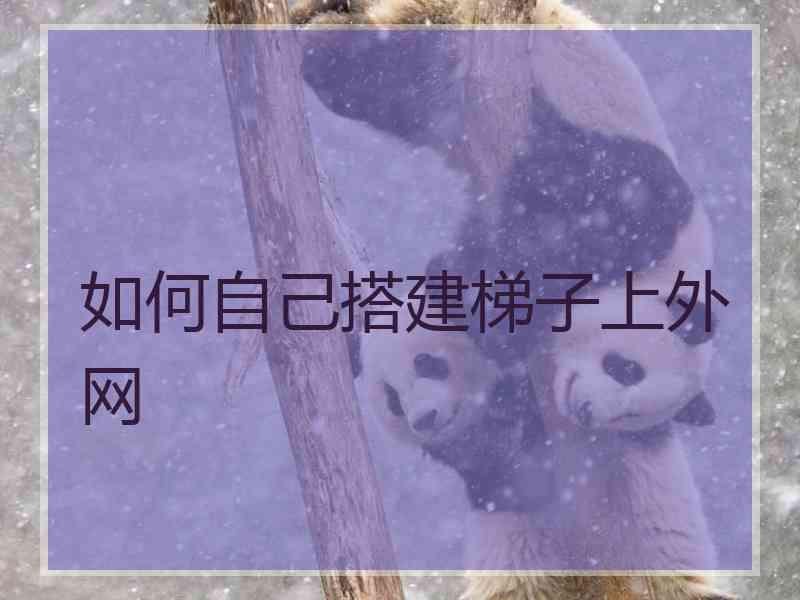 如何自己搭建梯子上外网