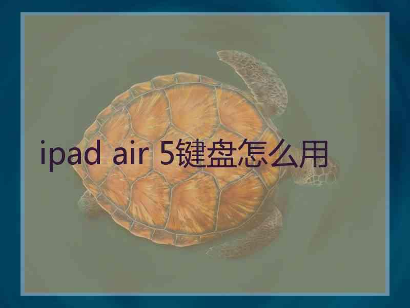 ipad air 5键盘怎么用