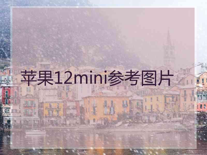 苹果12mini参考图片