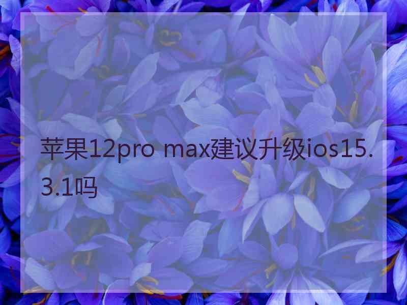 苹果12pro max建议升级ios15.3.1吗