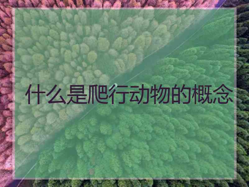 什么是爬行动物的概念