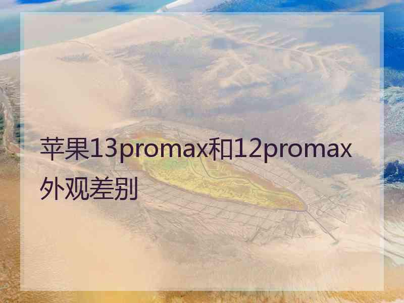 苹果13promax和12promax外观差别