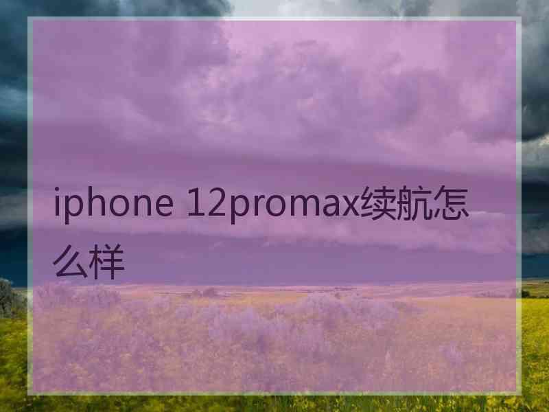 iphone 12promax续航怎么样