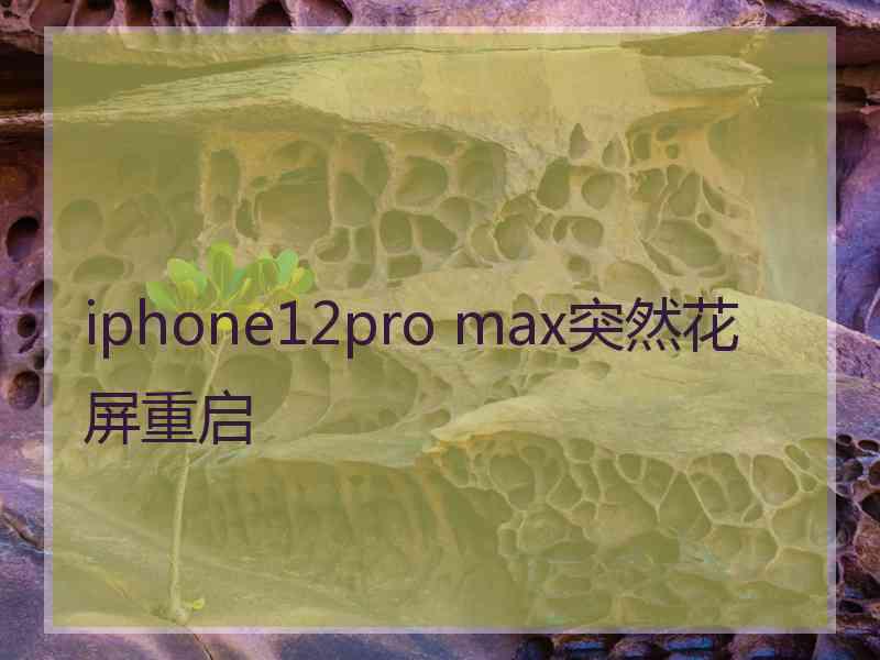 iphone12pro max突然花屏重启