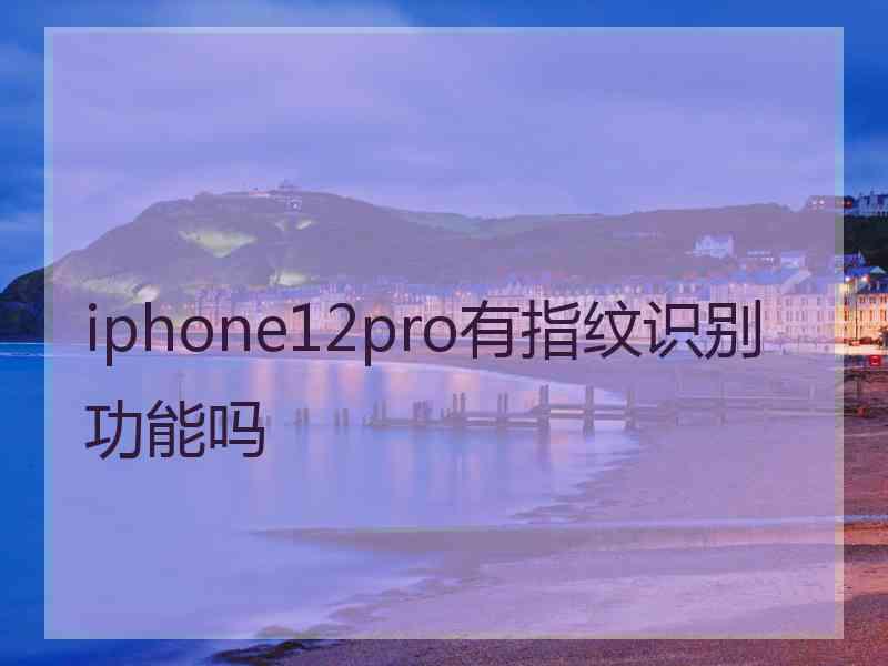 iphone12pro有指纹识别功能吗