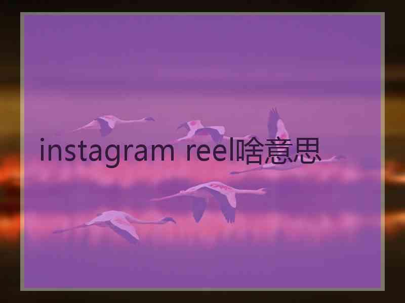 instagram reel啥意思