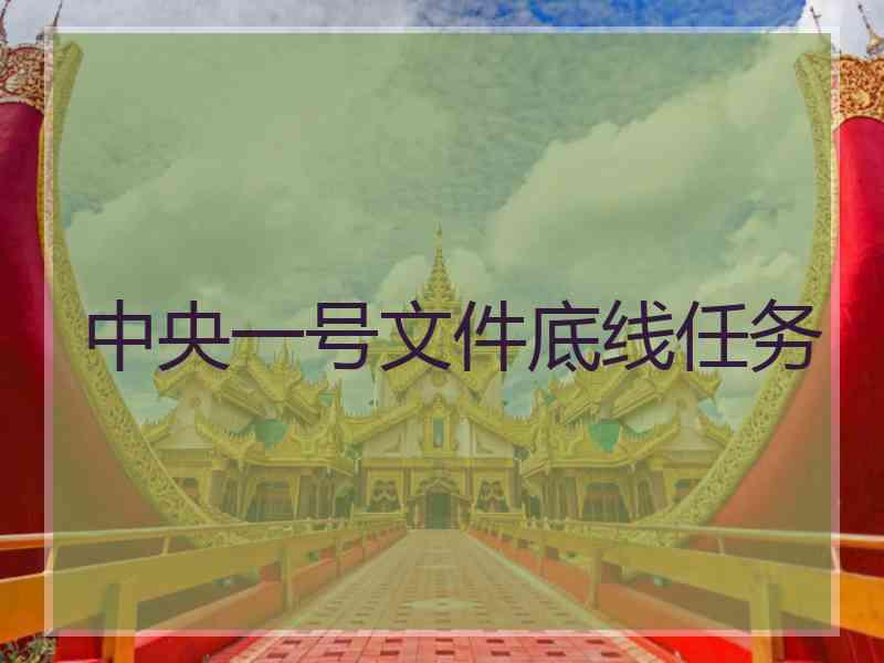 中央一号文件底线任务