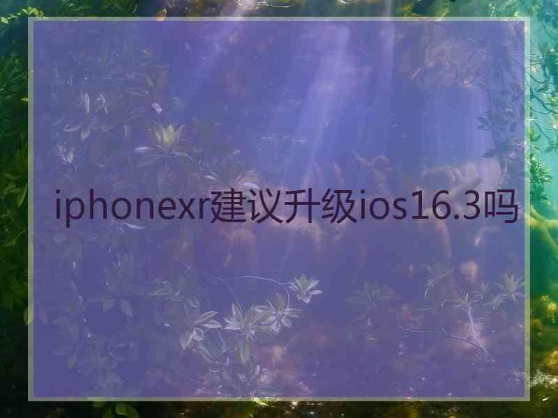 iphonexr建议升级ios16.3吗