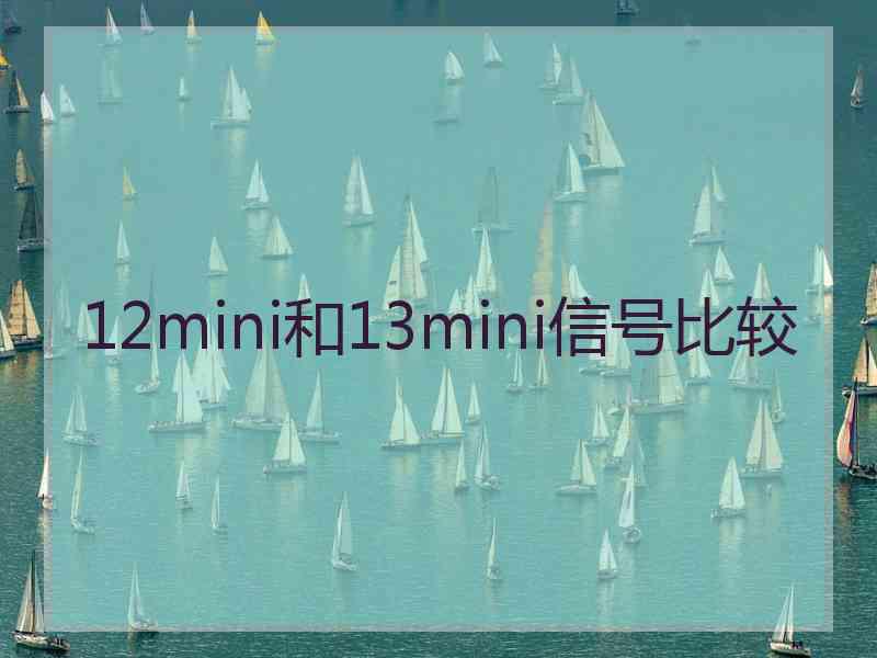 12mini和13mini信号比较