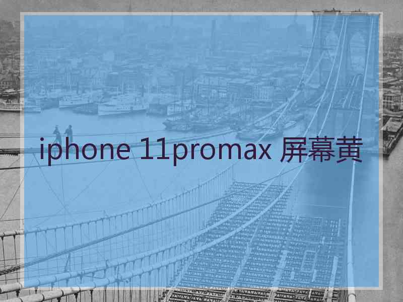 iphone 11promax 屏幕黄