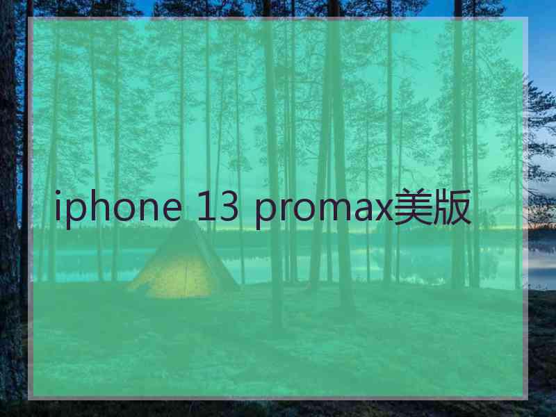 iphone 13 promax美版