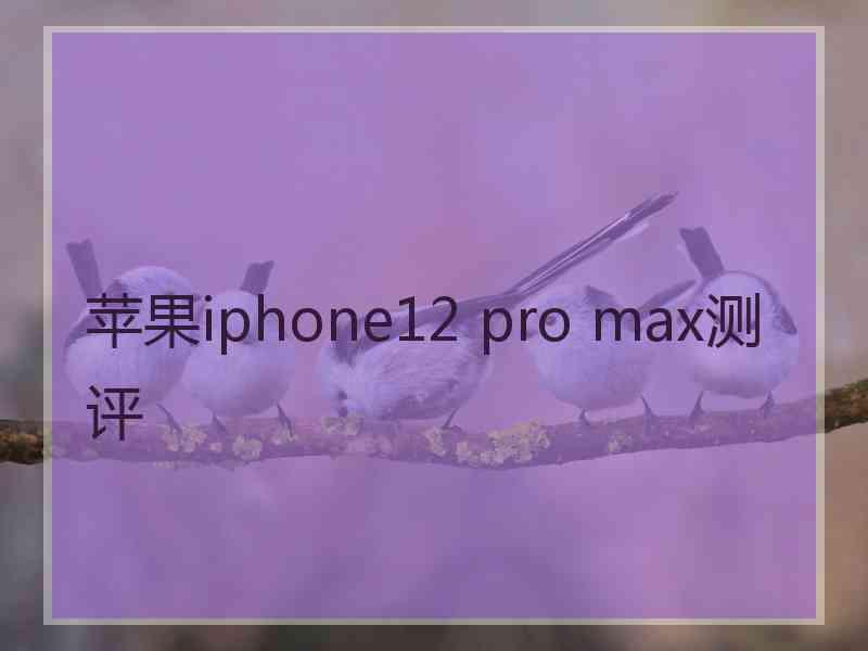 苹果iphone12 pro max测评