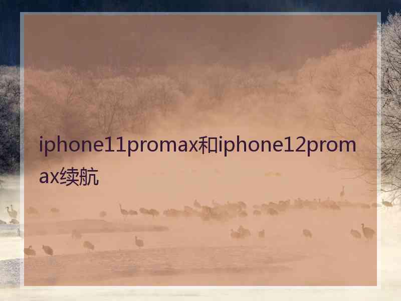 iphone11promax和iphone12promax续航