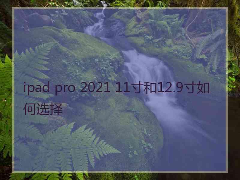 ipad pro 2021 11寸和12.9寸如何选择