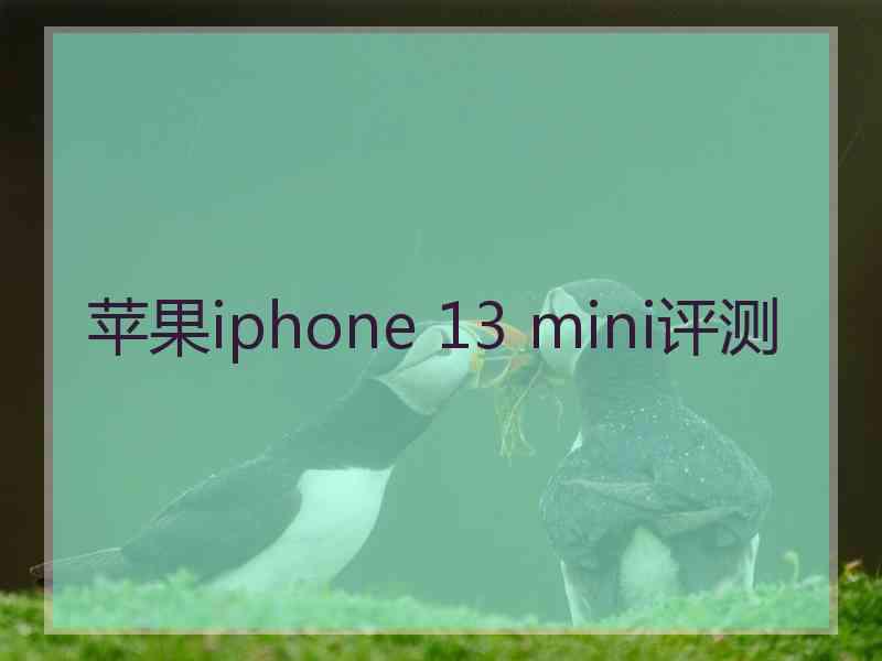 苹果iphone 13 mini评测