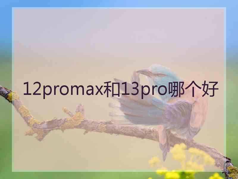 12promax和13pro哪个好