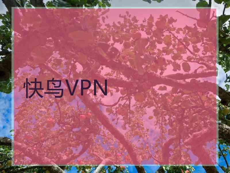 快鸟VPN