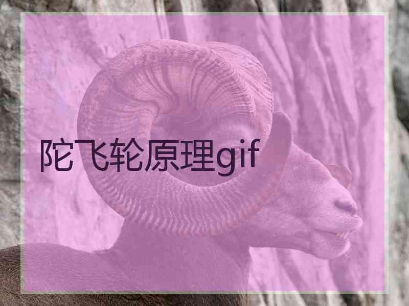 陀飞轮原理gif