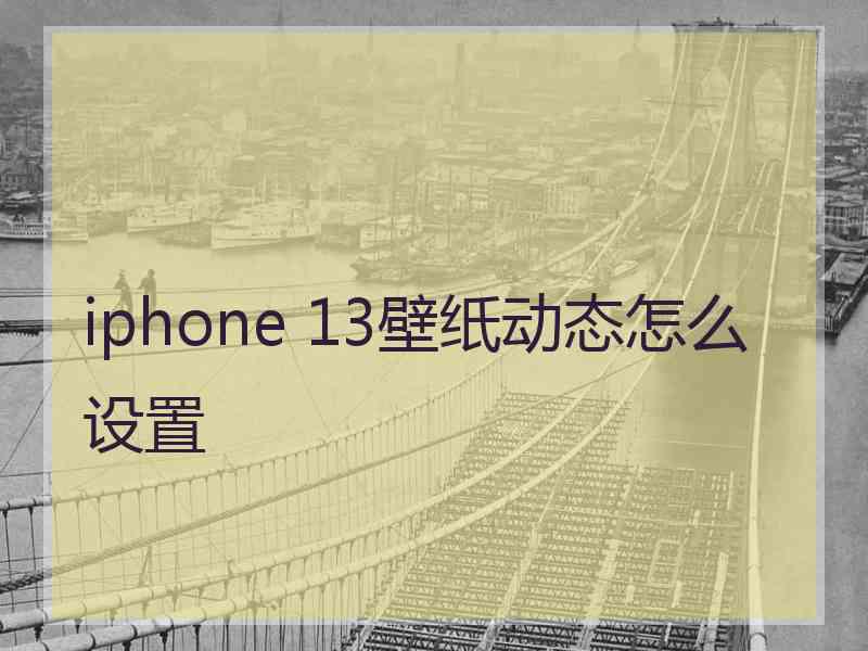 iphone 13壁纸动态怎么设置