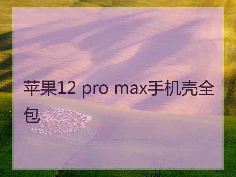 苹果12 pro max手机壳全包