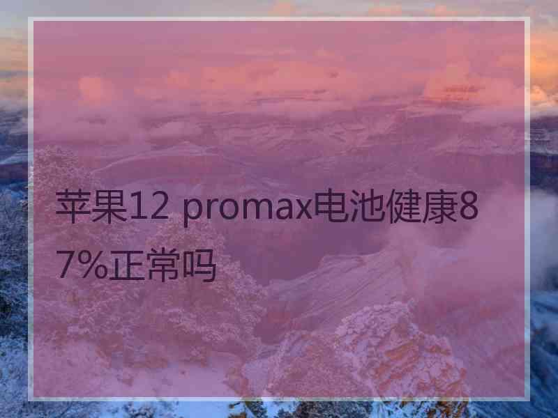 苹果12 promax电池健康87%正常吗