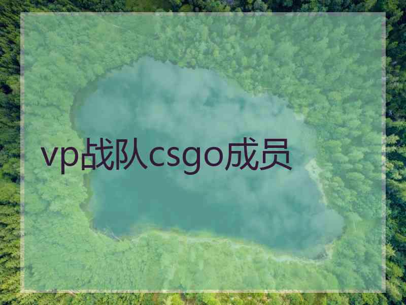 vp战队csgo成员