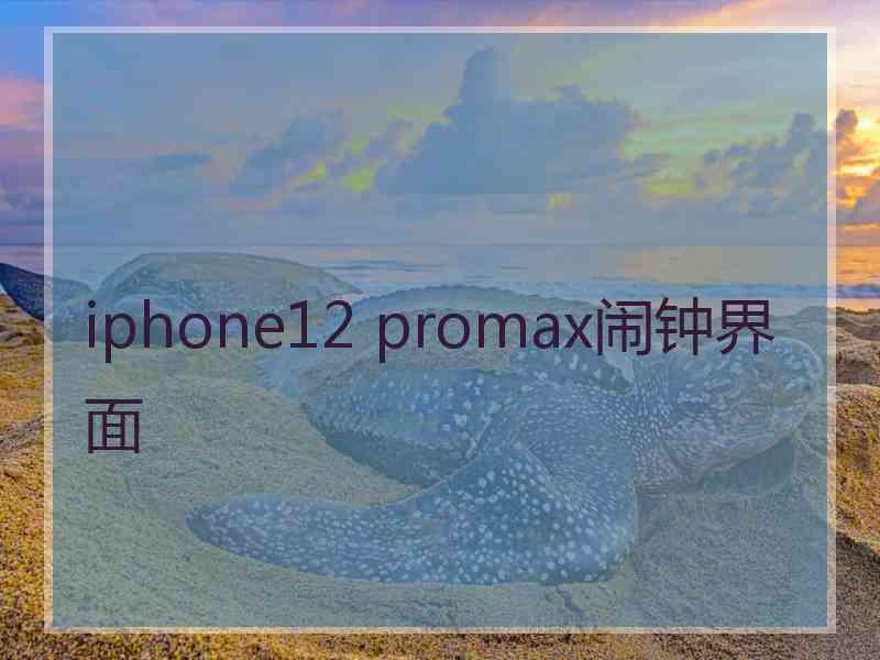 iphone12 promax闹钟界面