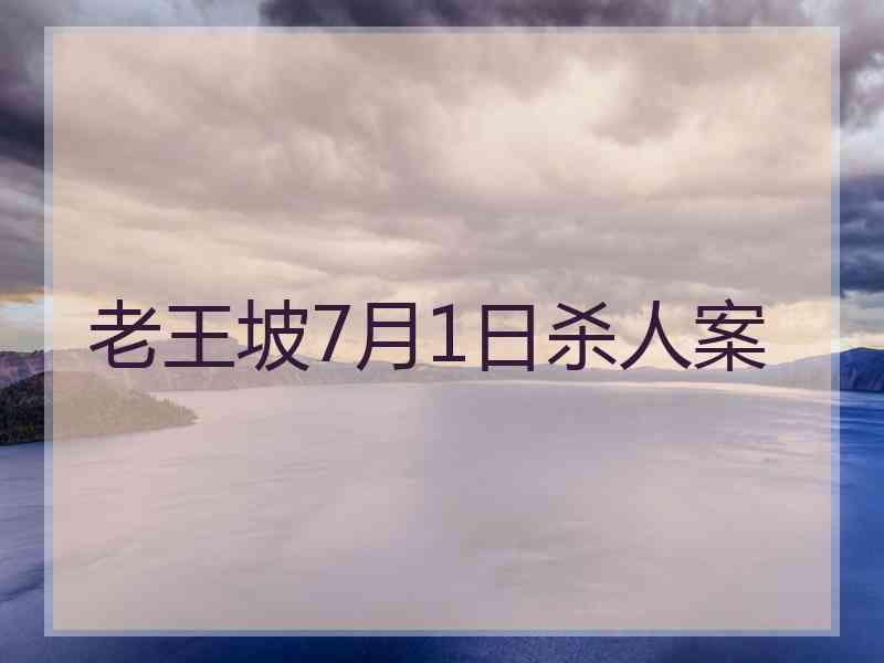 老王坡7月1日杀人案