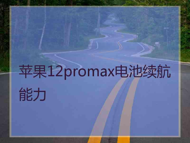 苹果12promax电池续航能力