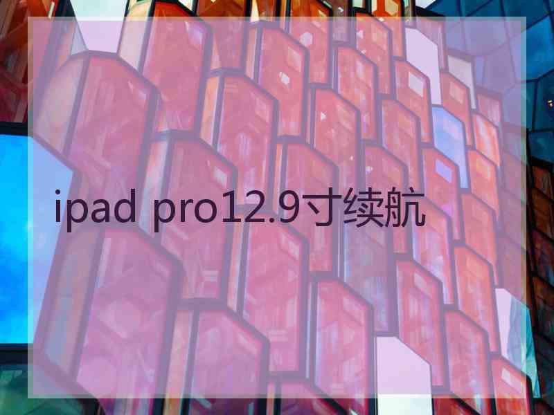 ipad pro12.9寸续航