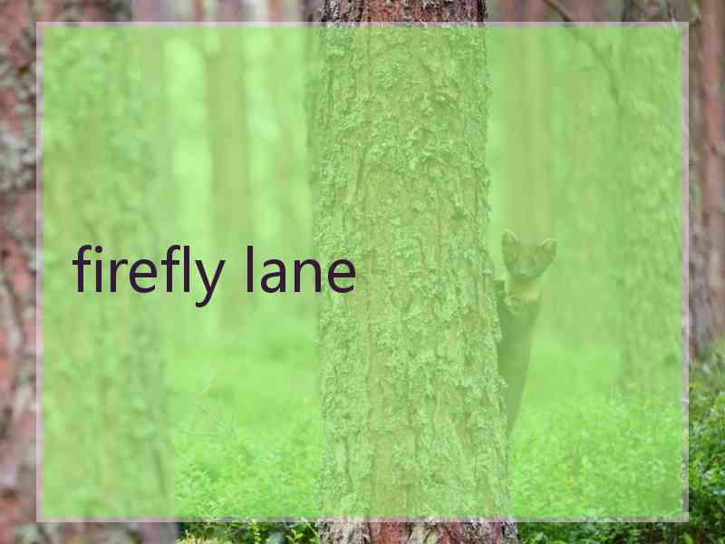 firefly lane