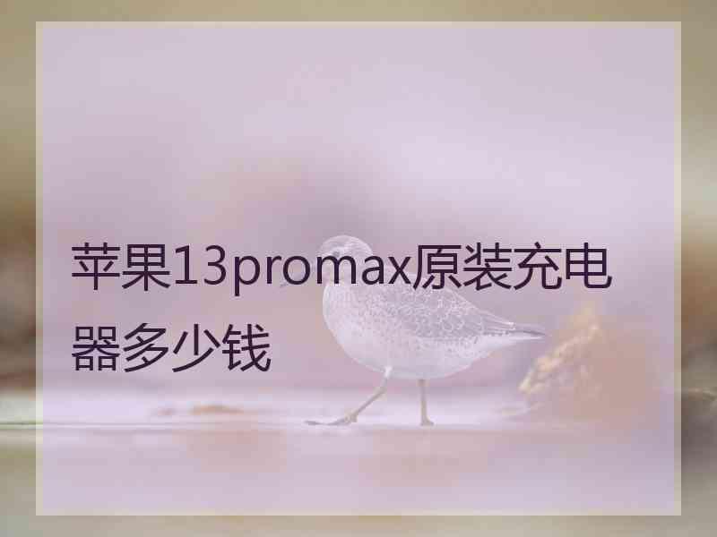 苹果13promax原装充电器多少钱