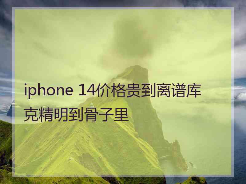 iphone 14价格贵到离谱库克精明到骨子里