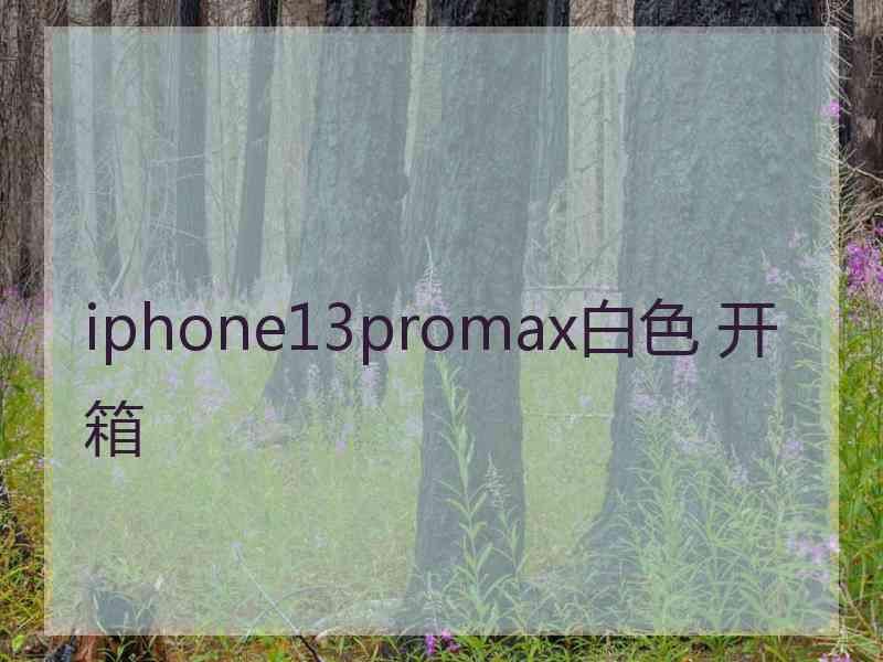 iphone13promax白色 开箱