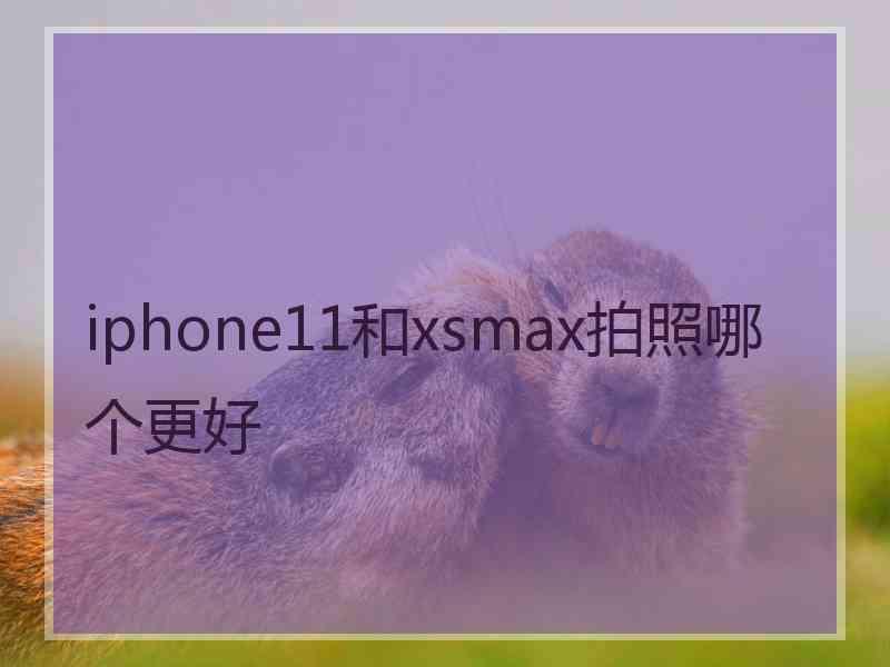 iphone11和xsmax拍照哪个更好