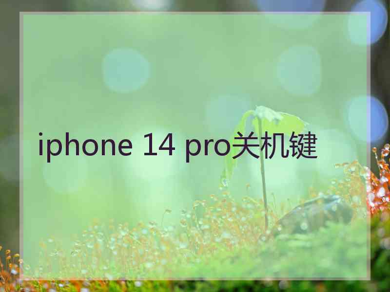 iphone 14 pro关机键