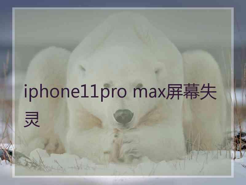 iphone11pro max屏幕失灵