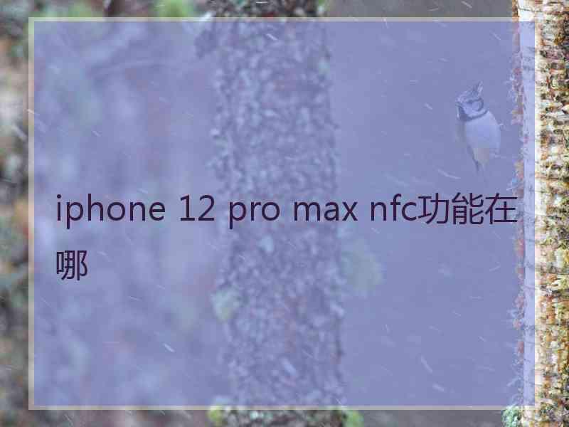 iphone 12 pro max nfc功能在哪