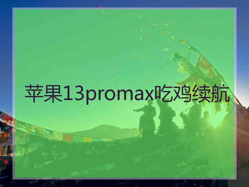 苹果13promax吃鸡续航