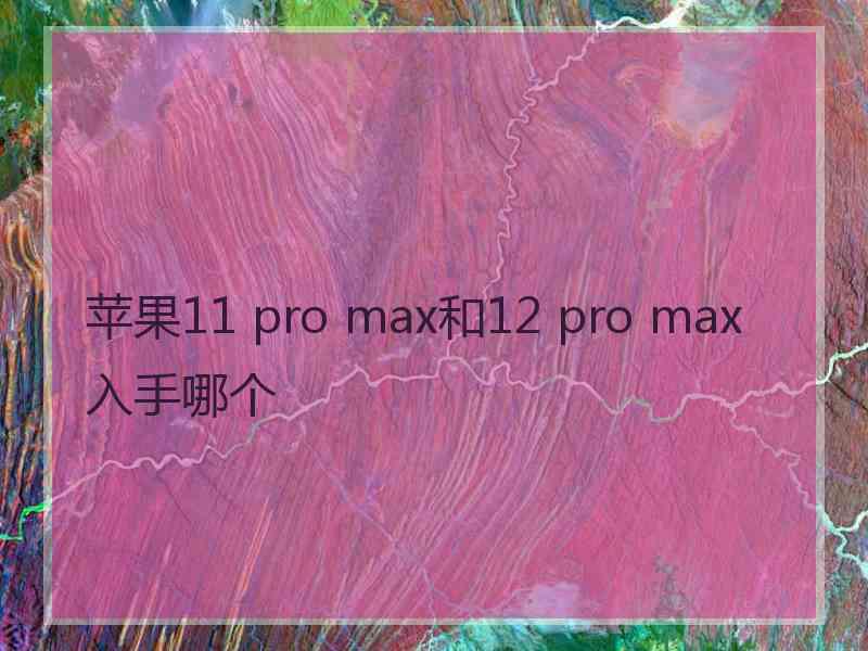 苹果11 pro max和12 pro max入手哪个