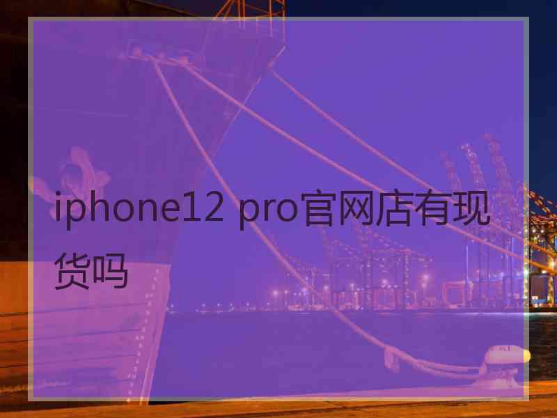 iphone12 pro官网店有现货吗