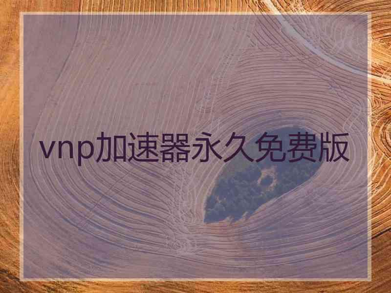 vnp加速器永久免费版