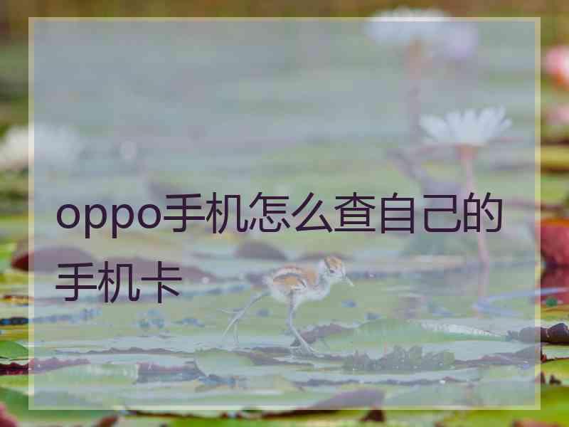 oppo手机怎么查自己的手机卡