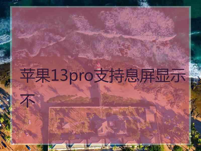 苹果13pro支持息屏显示不