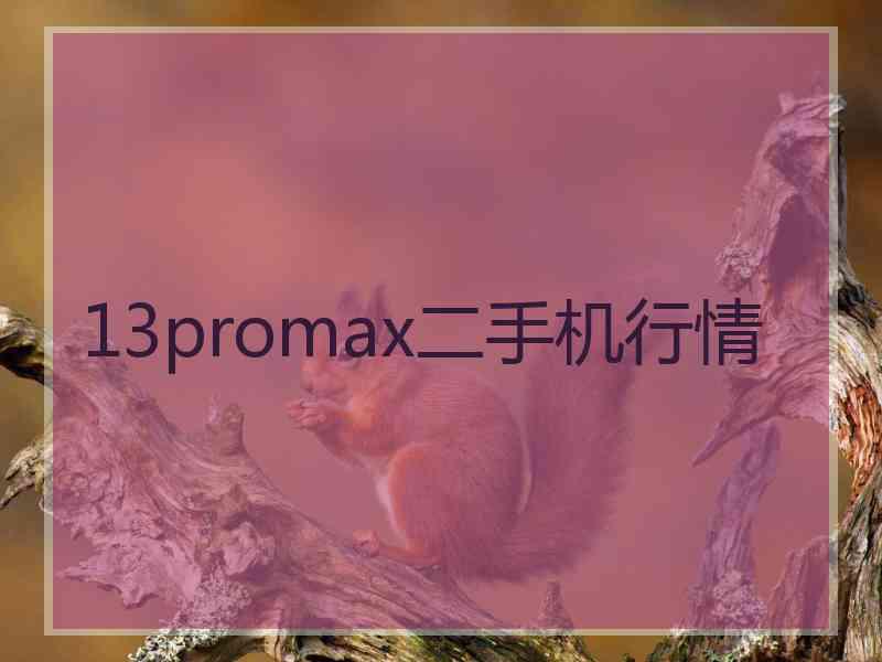 13promax二手机行情