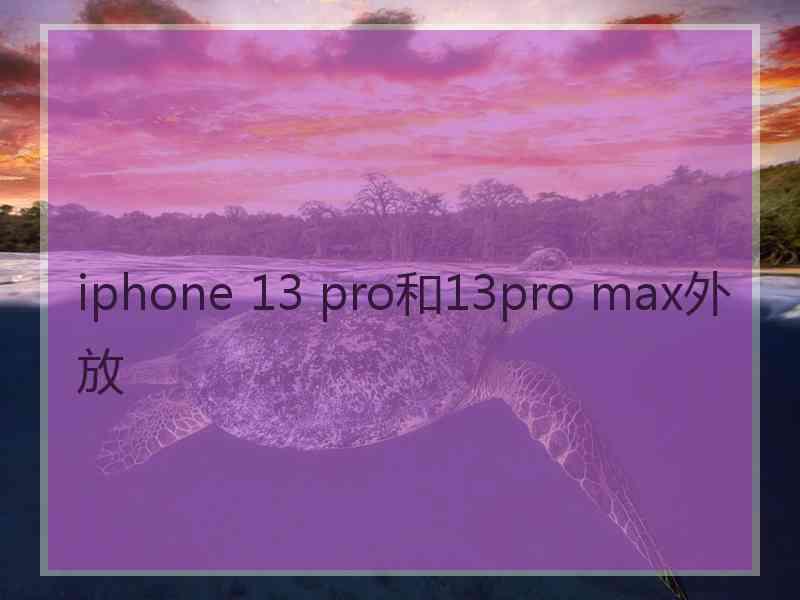 iphone 13 pro和13pro max外放