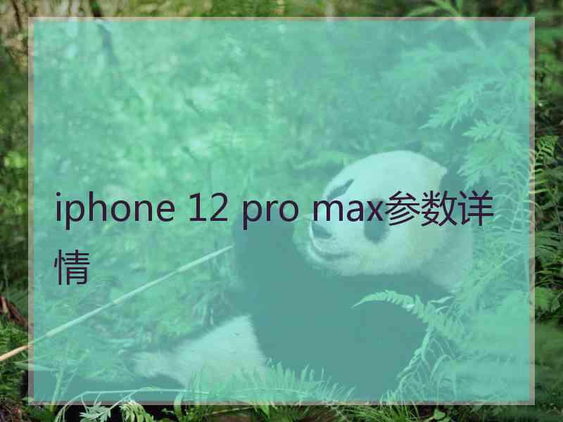 iphone 12 pro max参数详情